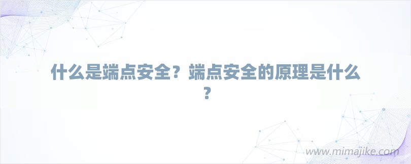 什么是端点安全？端点安全的原理是什么？