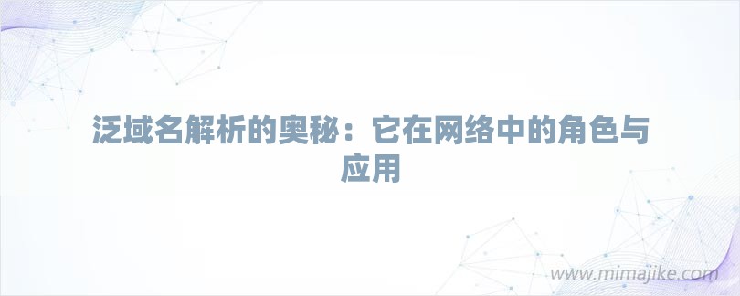 泛域名解析的奥秘：它在网络中的角色与应用-第1张图片