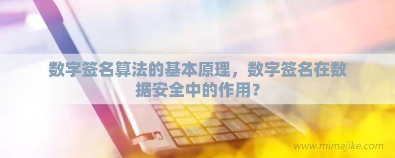 数字签名算法的基本原理，数字签名在数据安全中的作用？