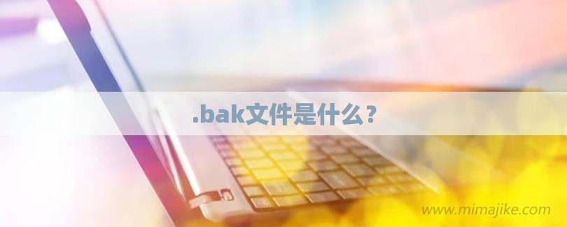 .bak文件是什么？-第1张图片