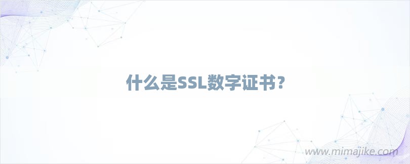 什么是SSL数字证书？-第1张图片