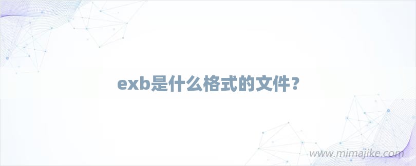 exb是什么格式的文件？