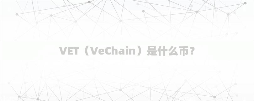 VET（VeChain）是什么币？
