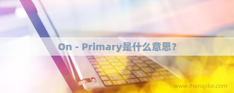 On - Primary是什么意思？-第1张图片