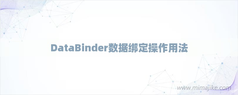DataBinder数据绑定操作用法-第1张图片