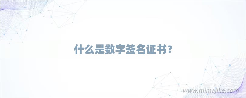 什么是数字签名证书？-第1张图片