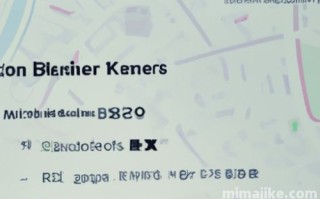 ICP币是什么币？