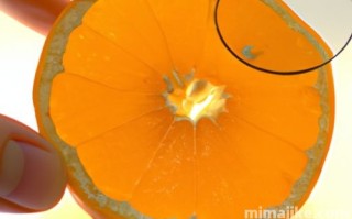 EOS（柚子币）是什么币？