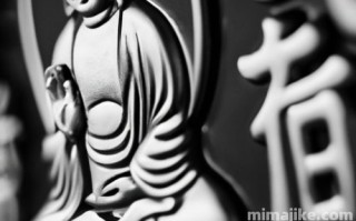 OM是什么币种？OM币的前景和价值