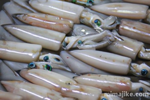 鱿鱼币（SQUID）是什么币？-第1张图片
